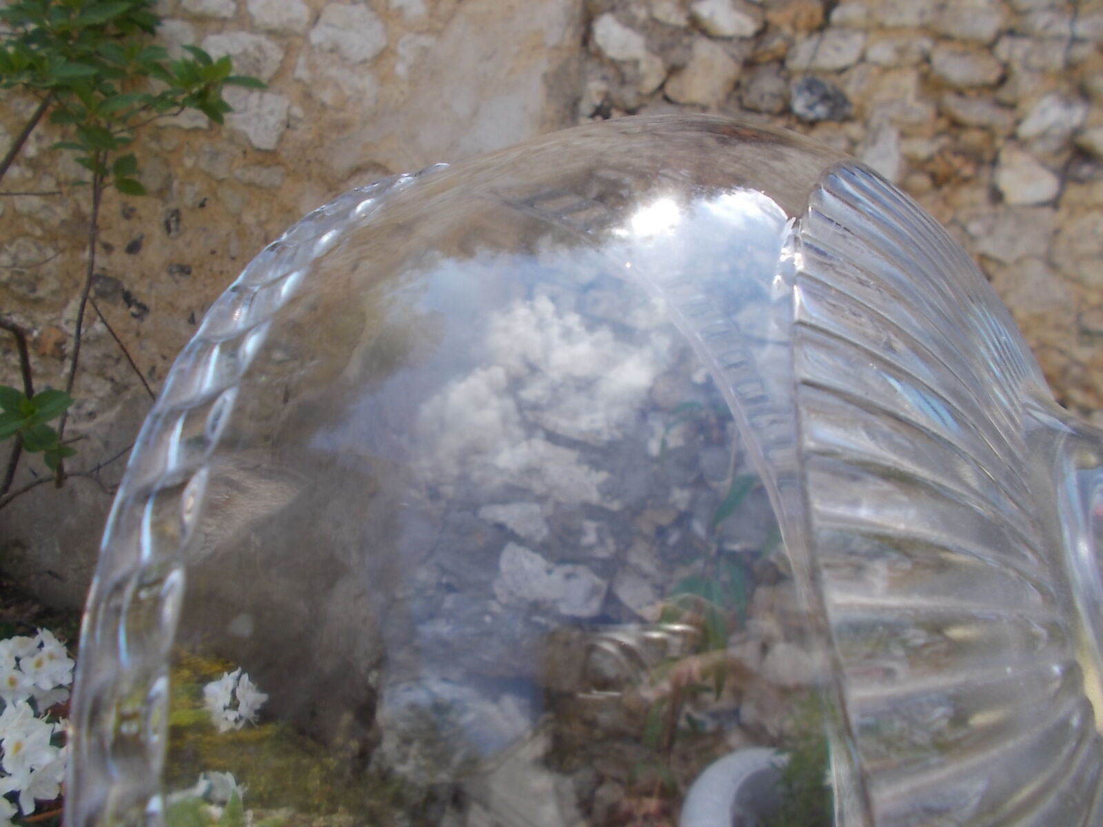 Dish with its Arcoroc plate.
