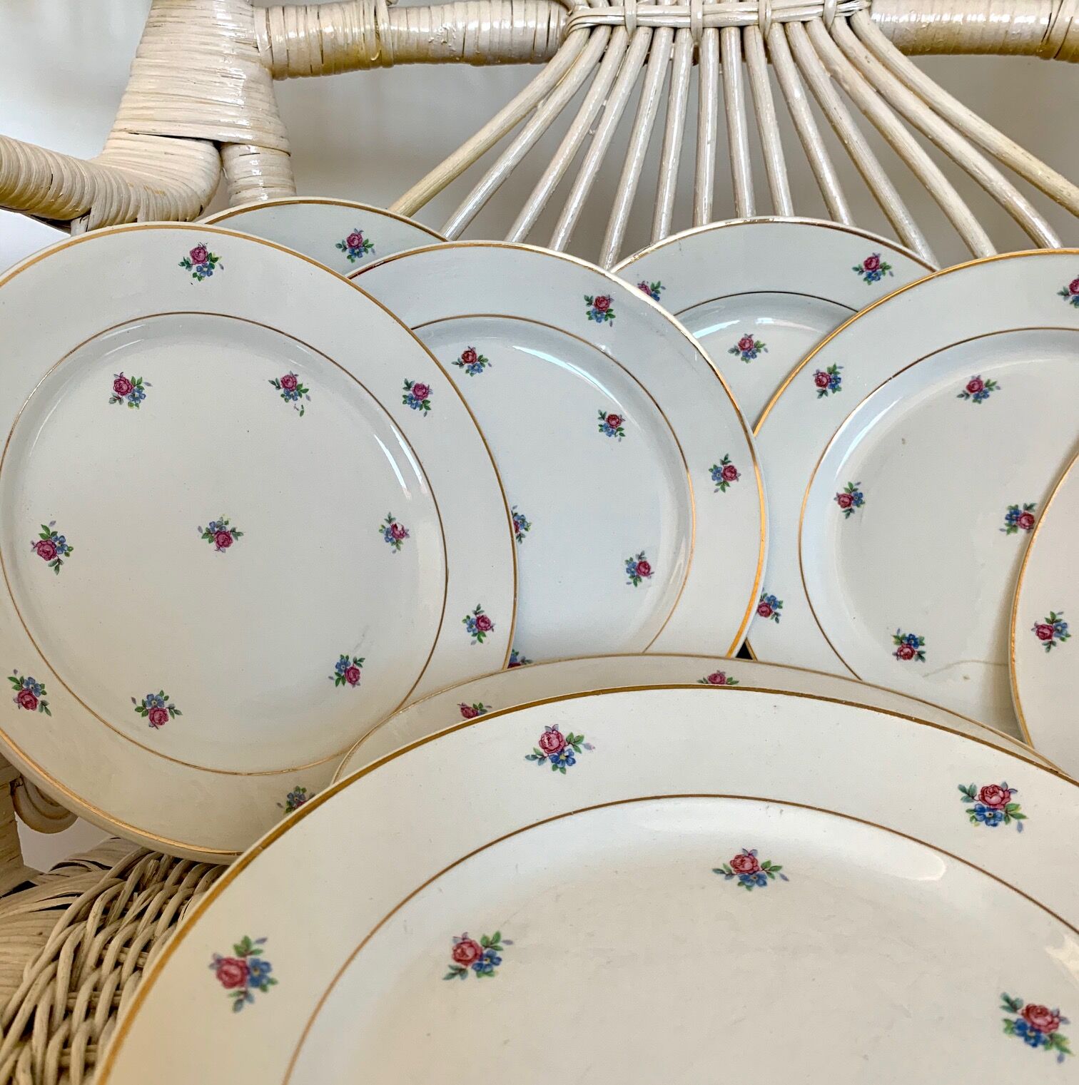 Service of 11 vintage plates Lunéville model Floréal