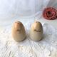 Salt shaker pepper glazed stoneware egg shape