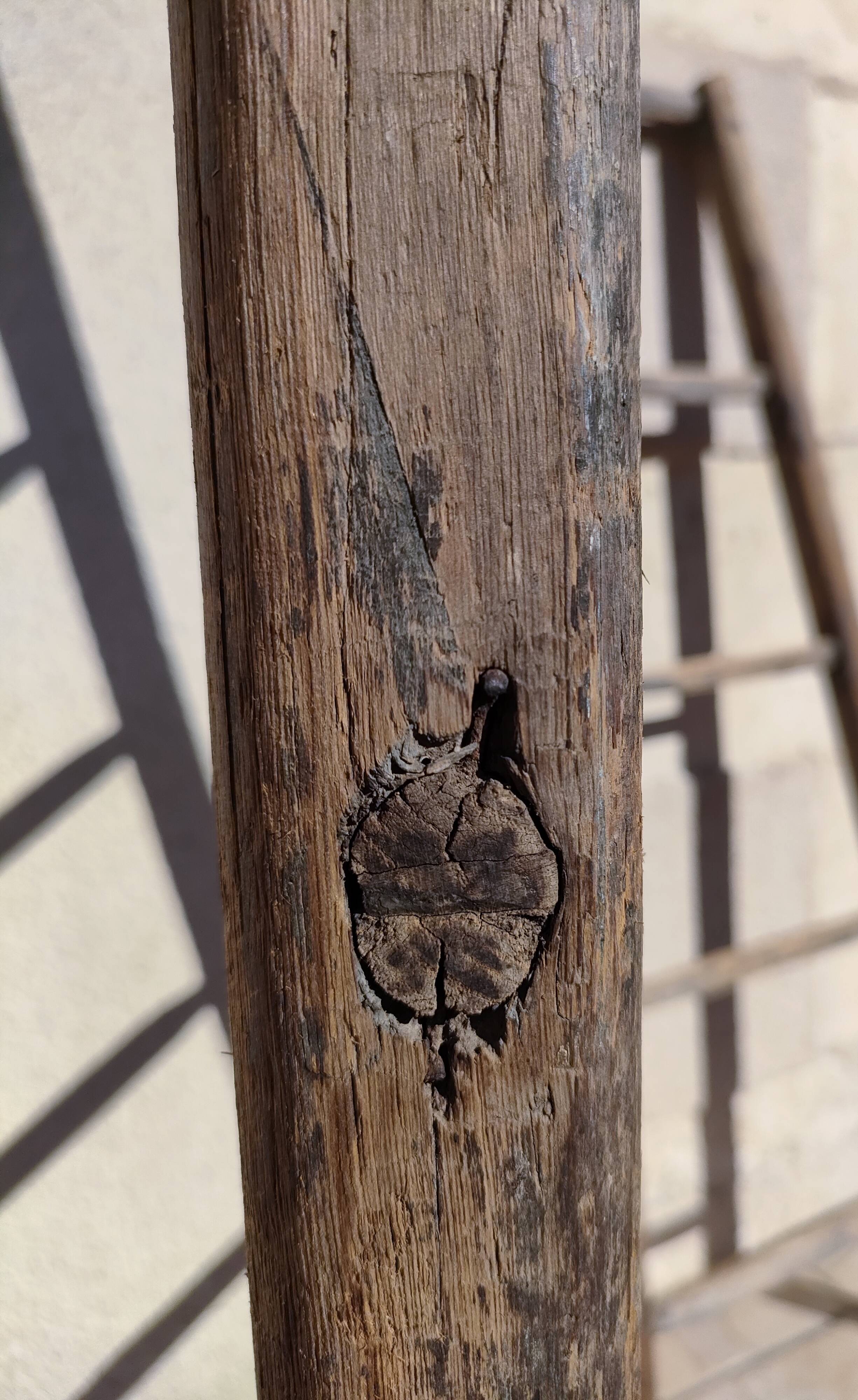 Two weathered wooden ladders H.135 cm