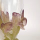 Daum vase from the Iris collection in crystal and glass paste