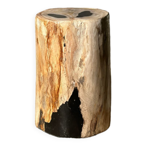 Table d'appoint en bois pétrifié