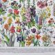 Illustration ancienne Millot "Fleurs annuelles ou bisanuelles"
