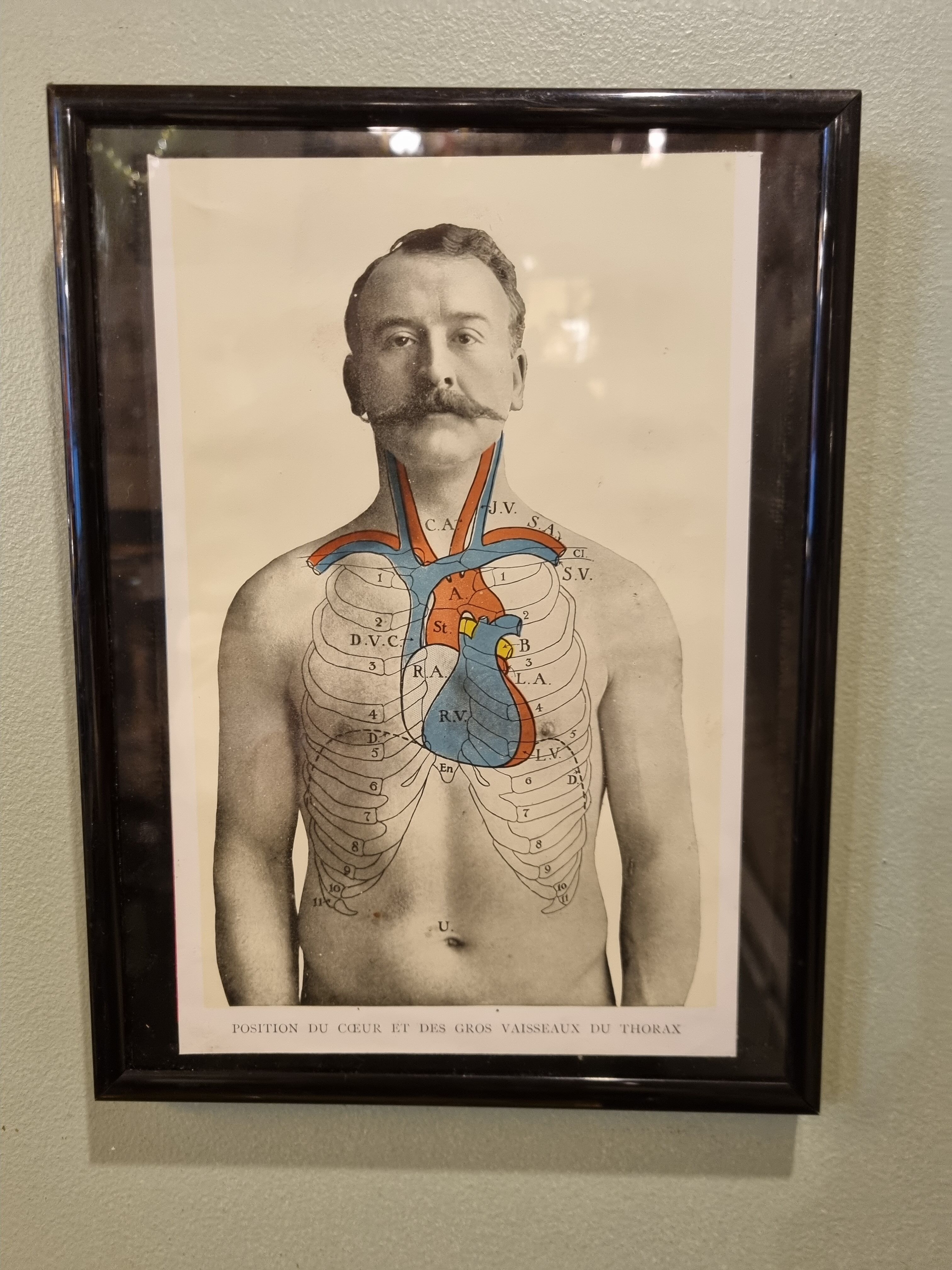 Photo frame book medicine