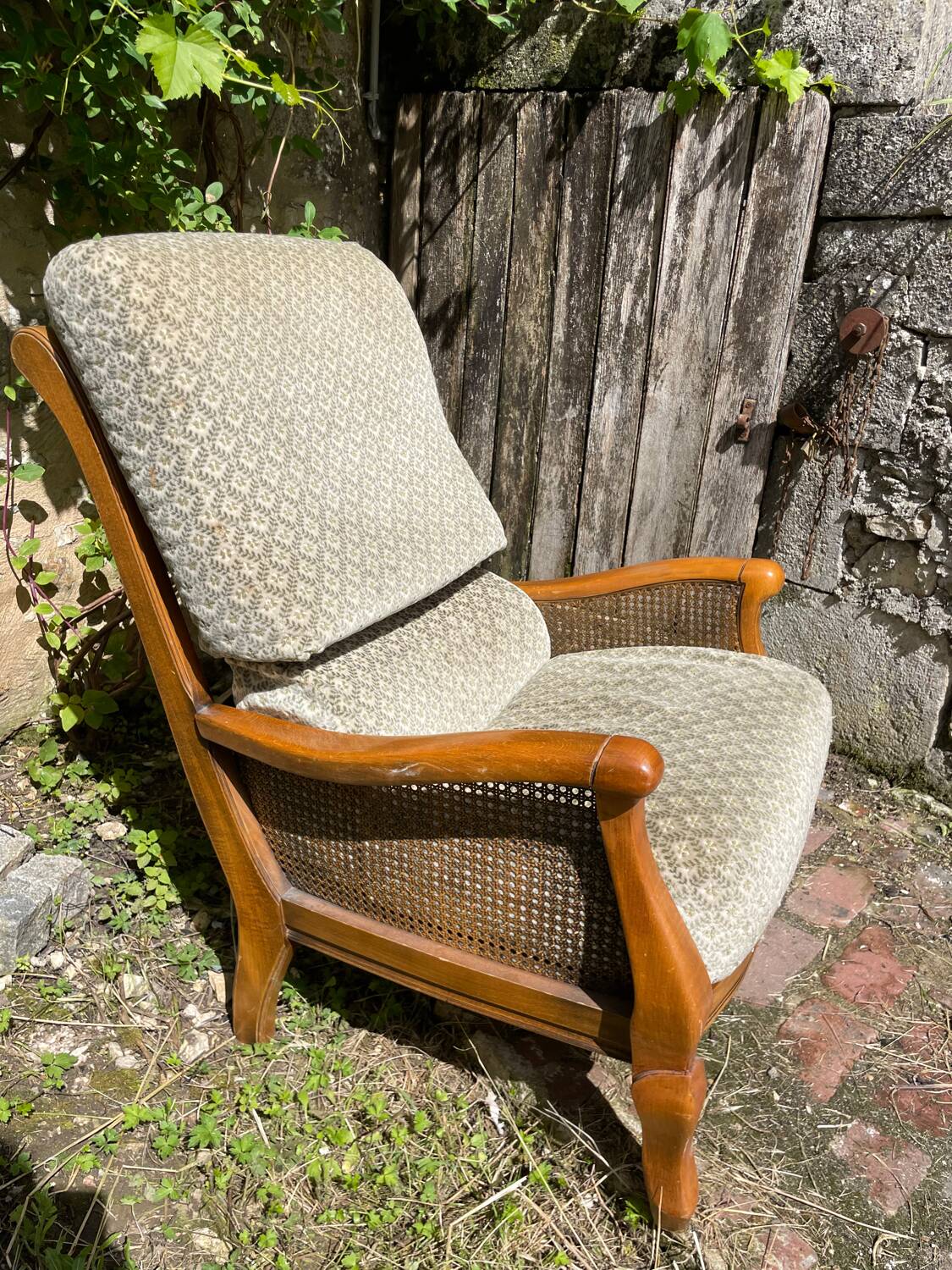 Armchair in wood, cane and velvet
