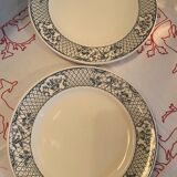 Set of 2 Mason's ironstone dinner plates