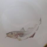 set of 4 Bavaria Hutschenreuther porcelain fish plates