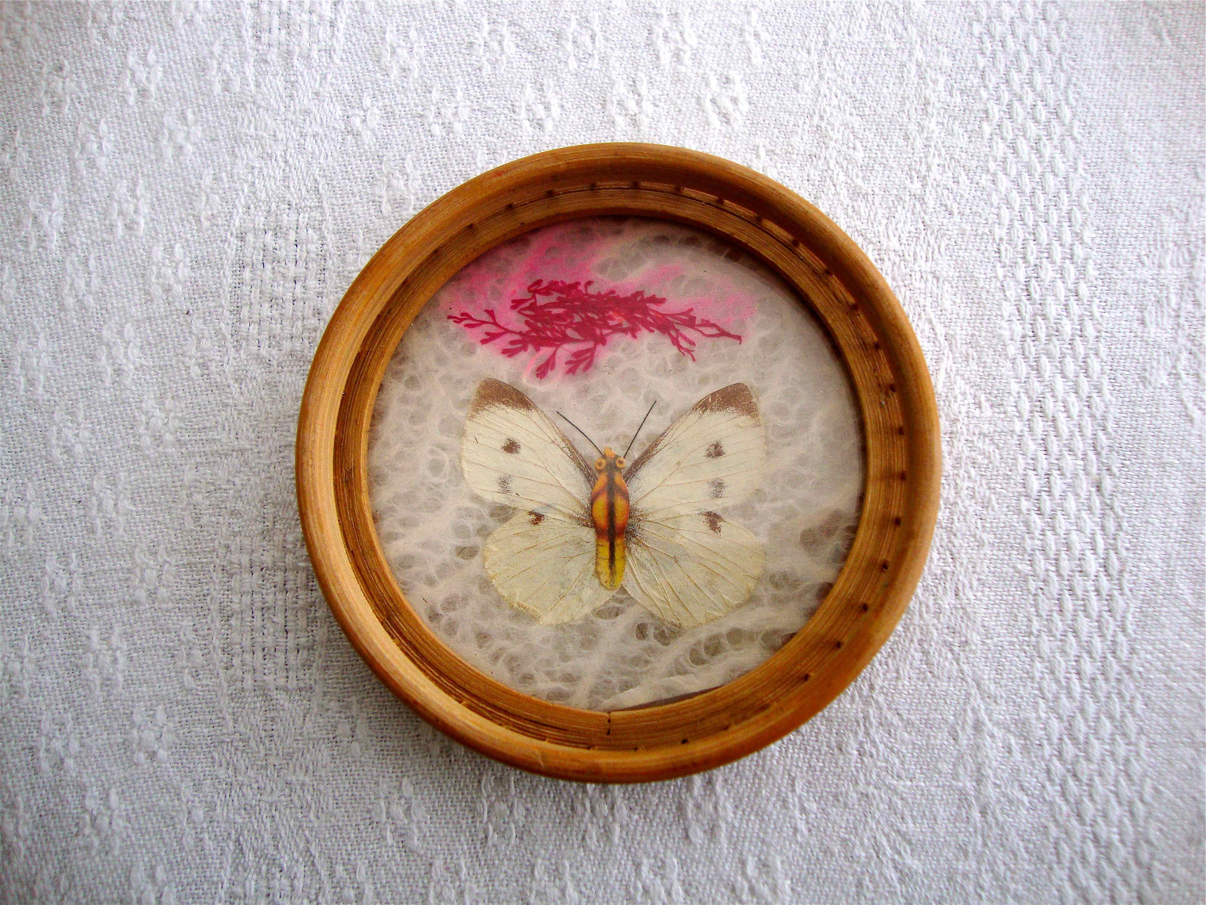 Butterfly tray and coasters