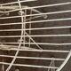 Suite de 4 chaises combex - cees braakman