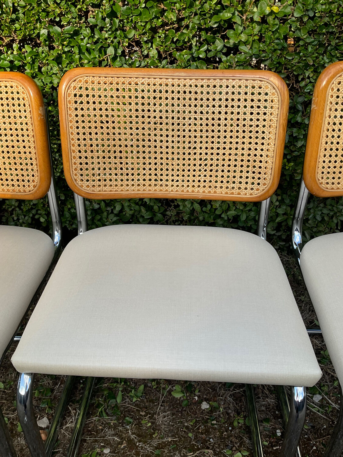 Series of 6 chairs Marcel Breuer Cesca B32