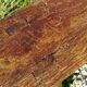 Ancient primitive farm benches