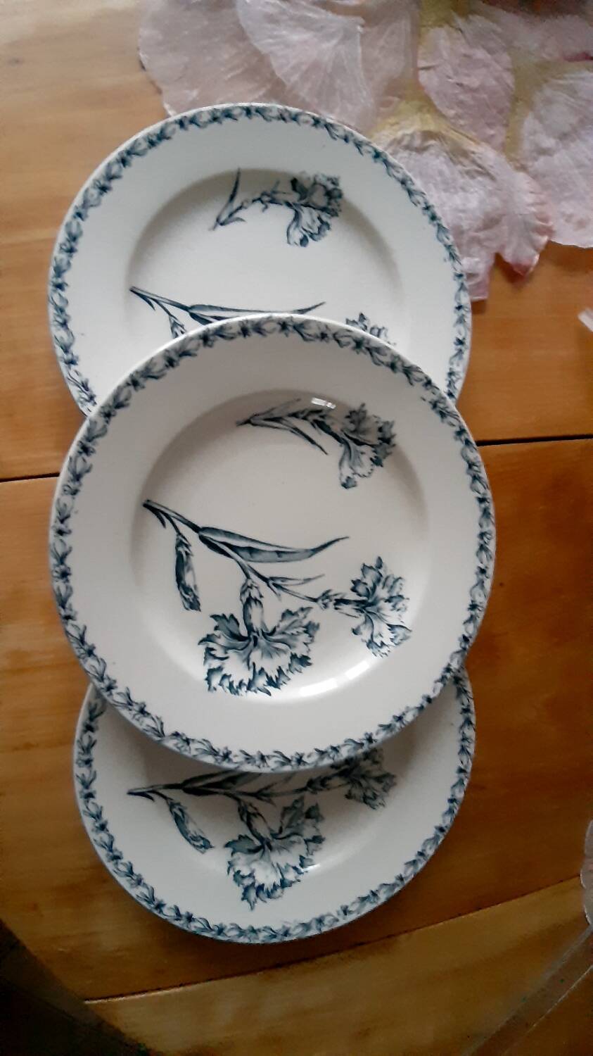 Lunéville Carnation Plates