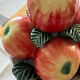 Apple cup still life slip