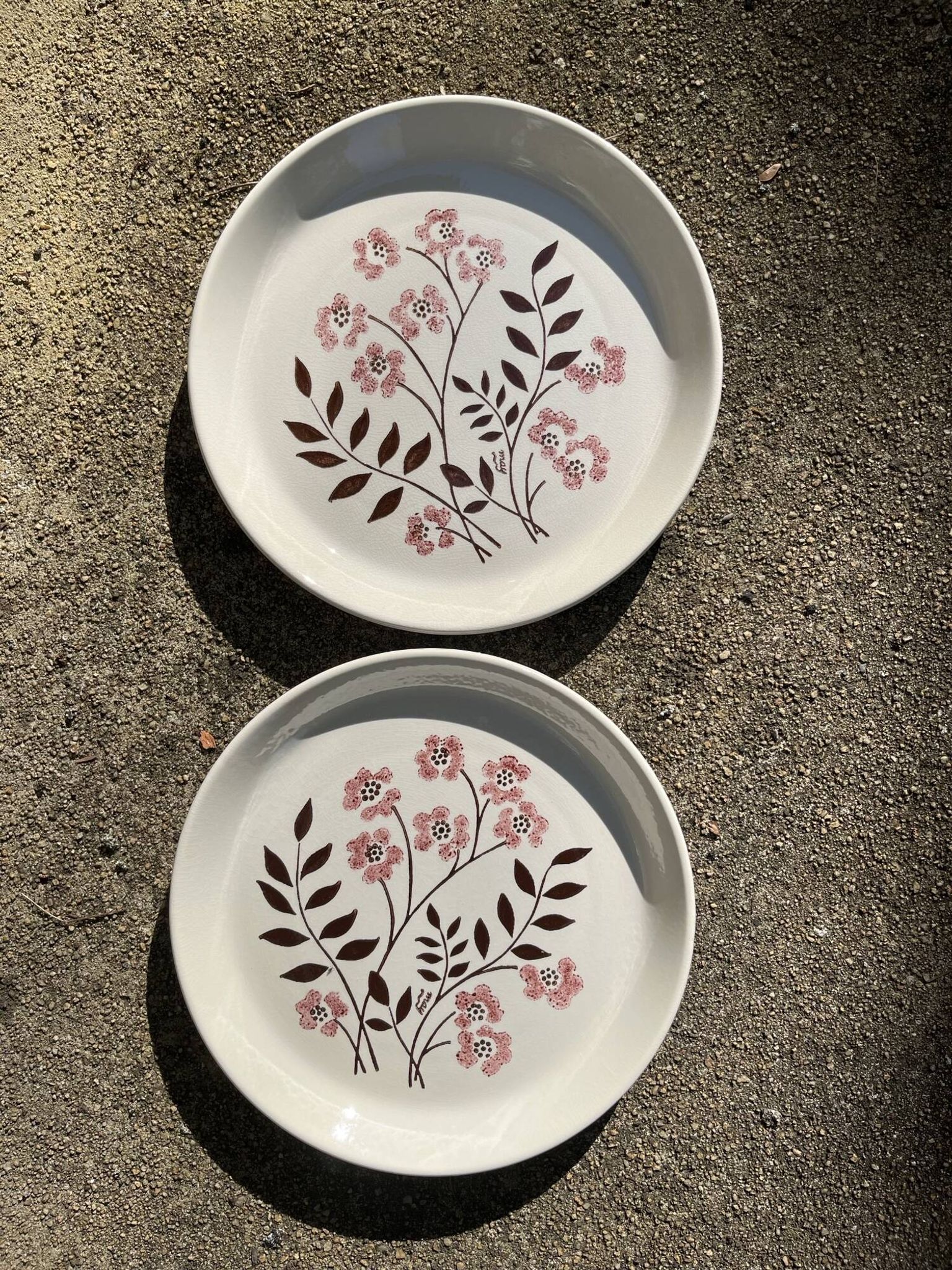 2 large vintage plates 24 cm flower pattern manufacture May