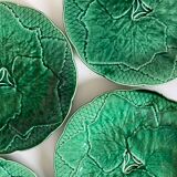 8 plates in leaf slurry