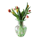 Blown glass vase with green pattern