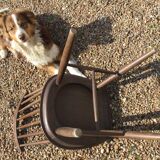 Set of four chairs Tapiovaraa