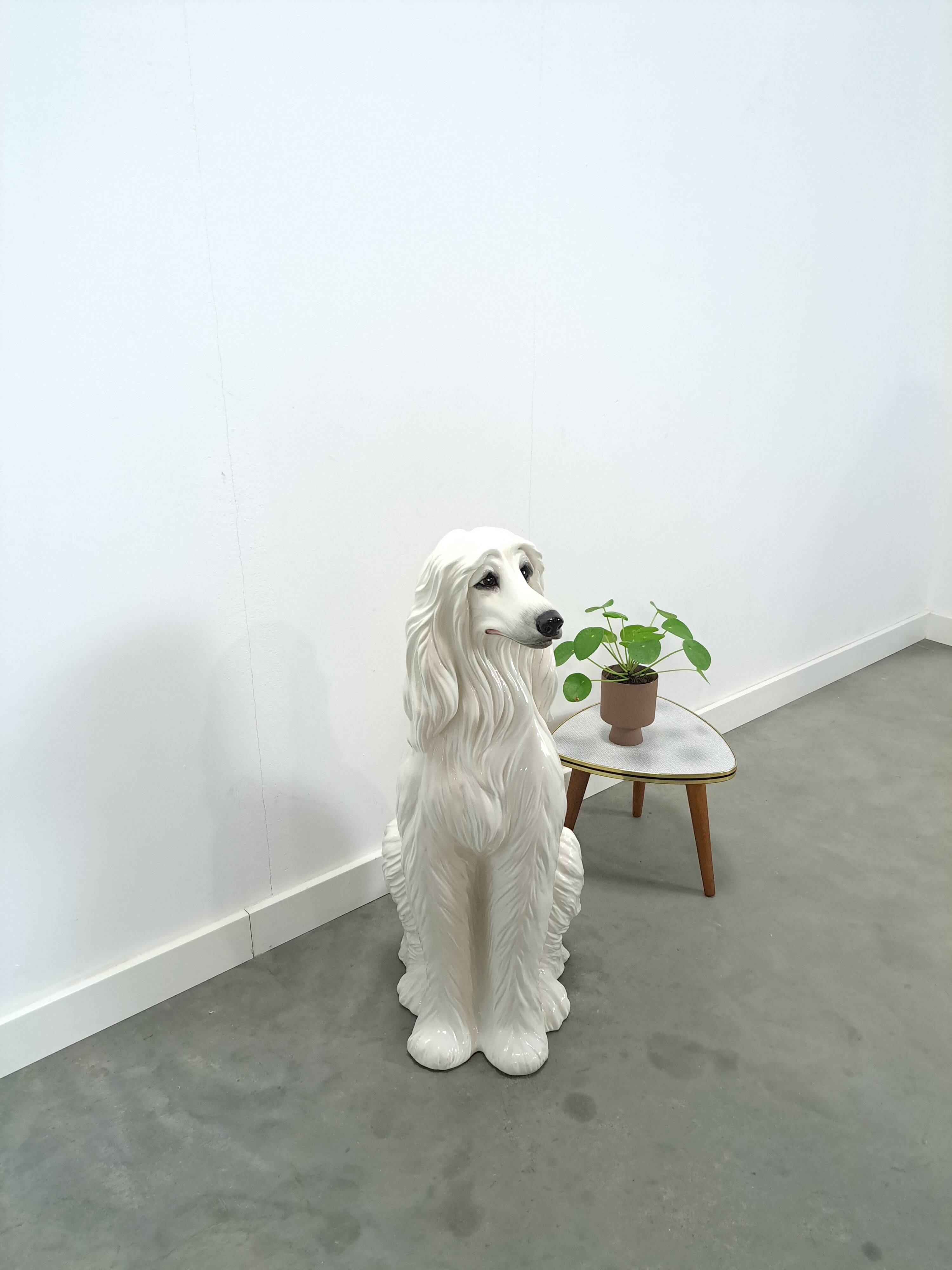 Groot Italiaans keramieken beeld hond