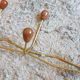 Vintage metal and wood coat rack year 50