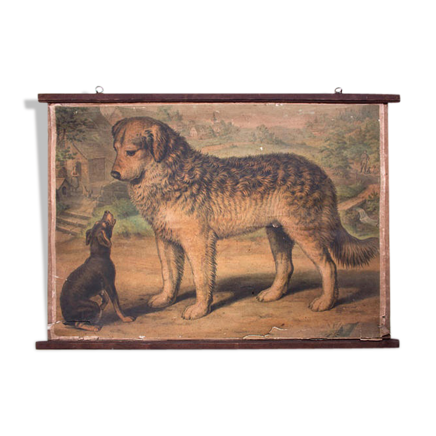 Affiche "les chiens" lithographie Karl Jansky Böhmen 1897