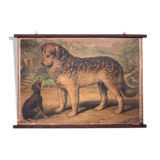 Affiche "les chiens" lithographie Karl Jansky Böhmen 1897