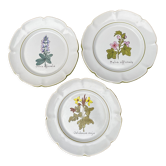 Plates décor medicinal plants Charolles
