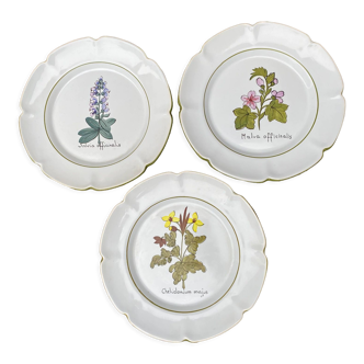 Plates décor medicinal plants Charolles