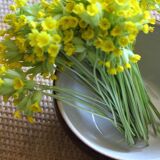 Two-tone vintage stoneware salad bowl from Digoin.