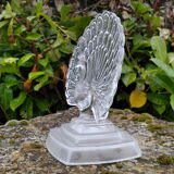 CRYSTAL PEACOCK CLIPBOARD