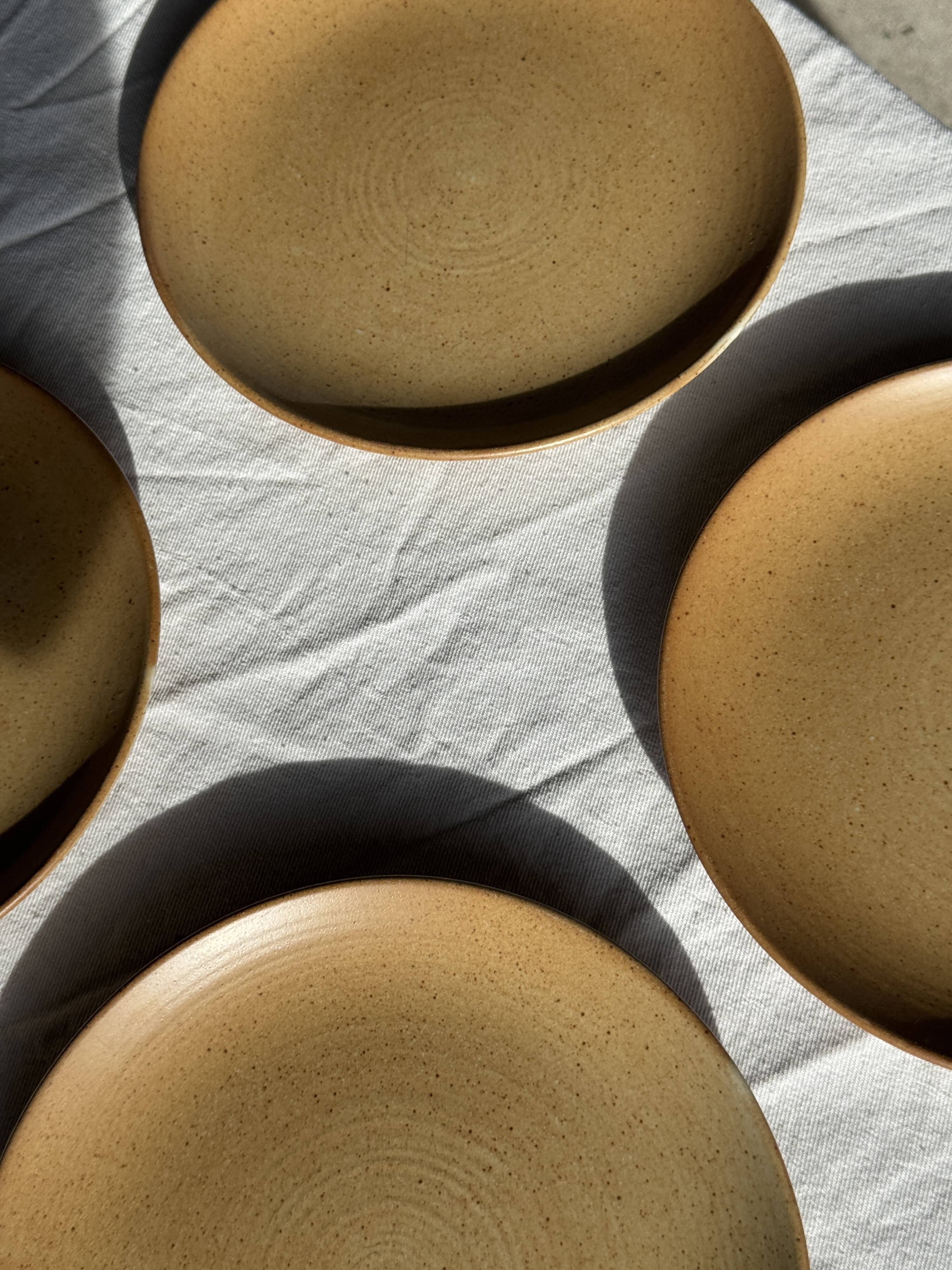 Set of 6 dessert plates in stoneware Village France D20