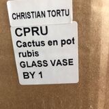 Vase cactus