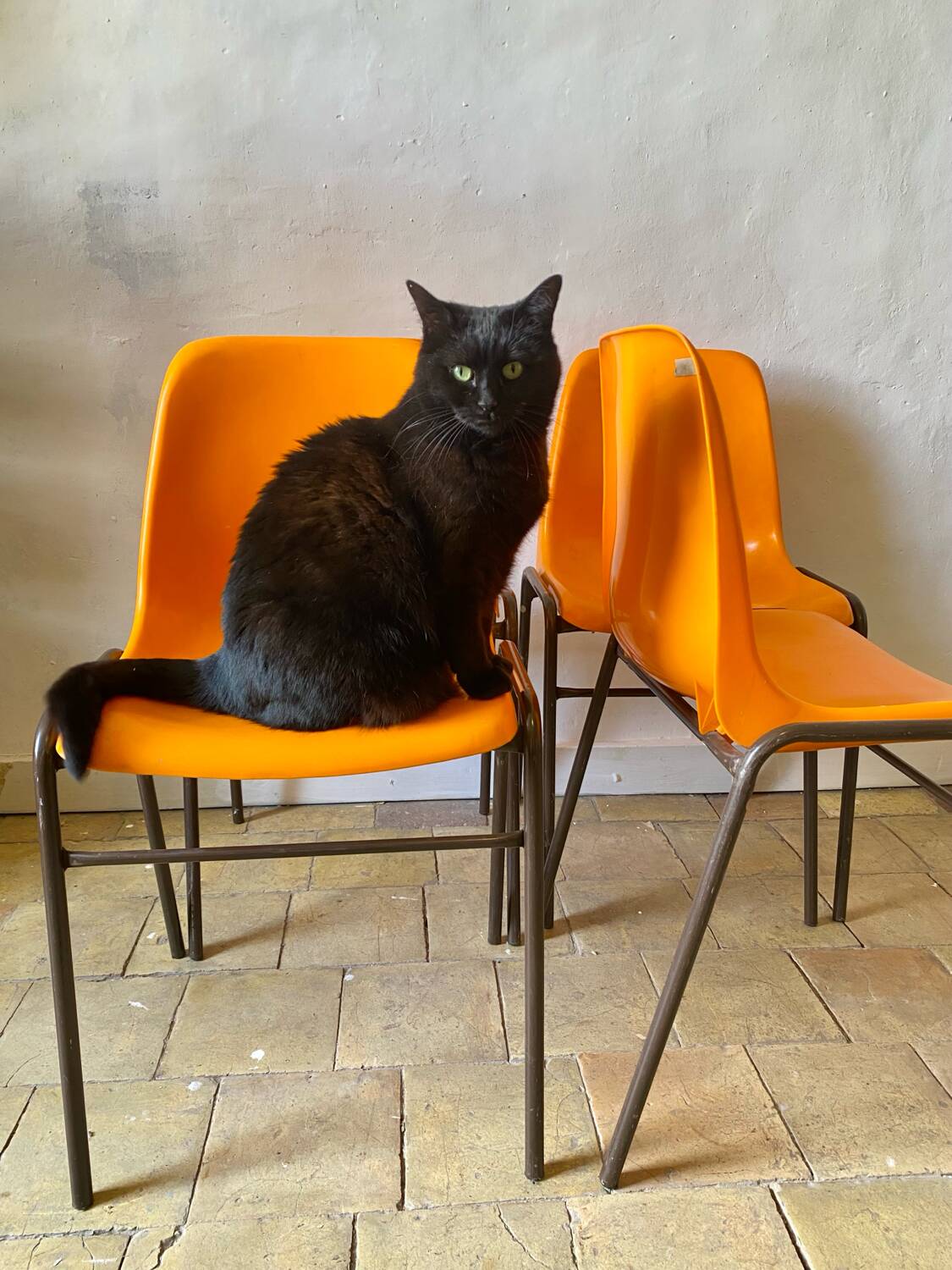 Chaises vintage orange