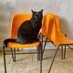 Chaises vintage orange