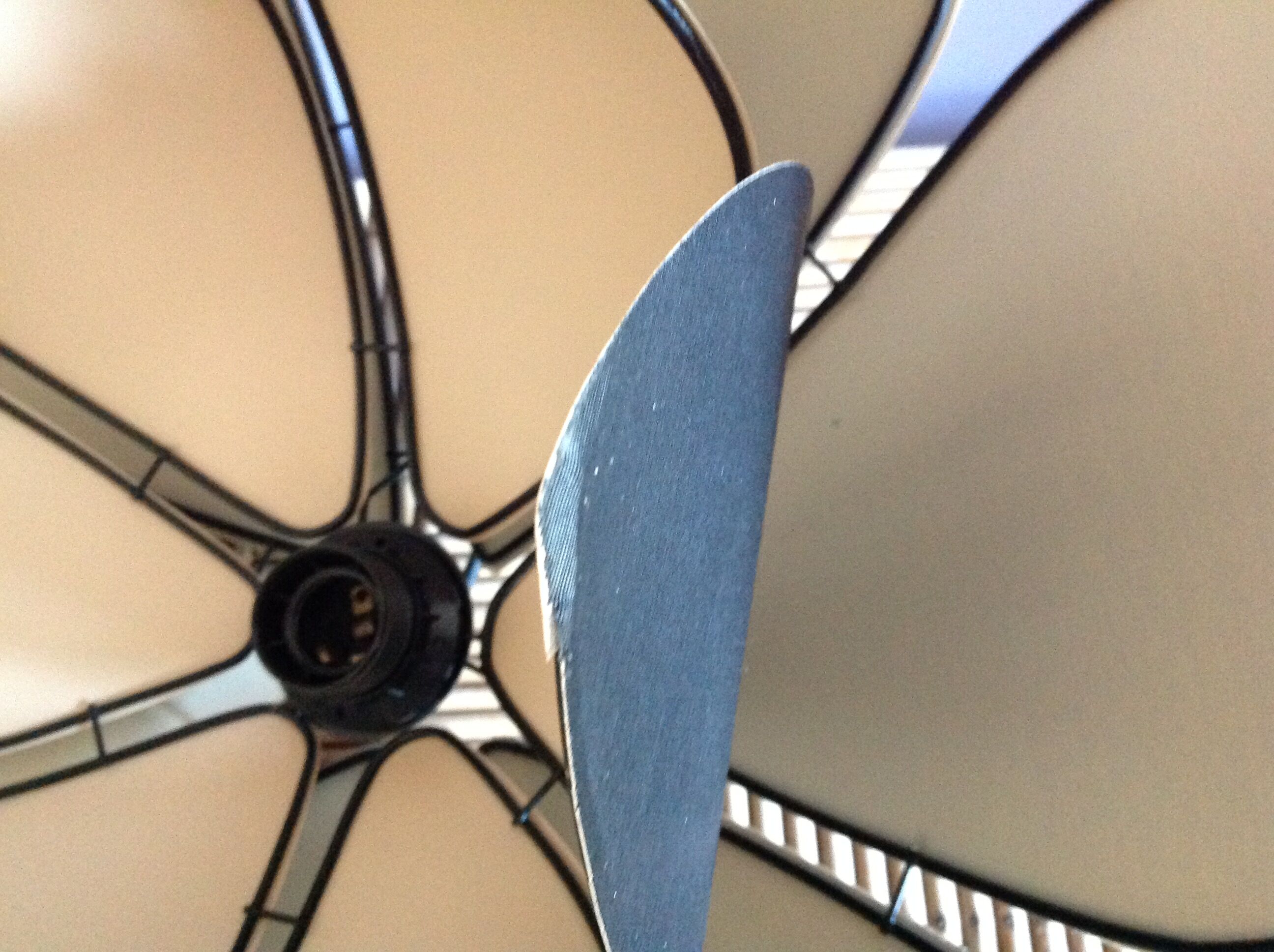 Flower hanging lamp 12 black petals