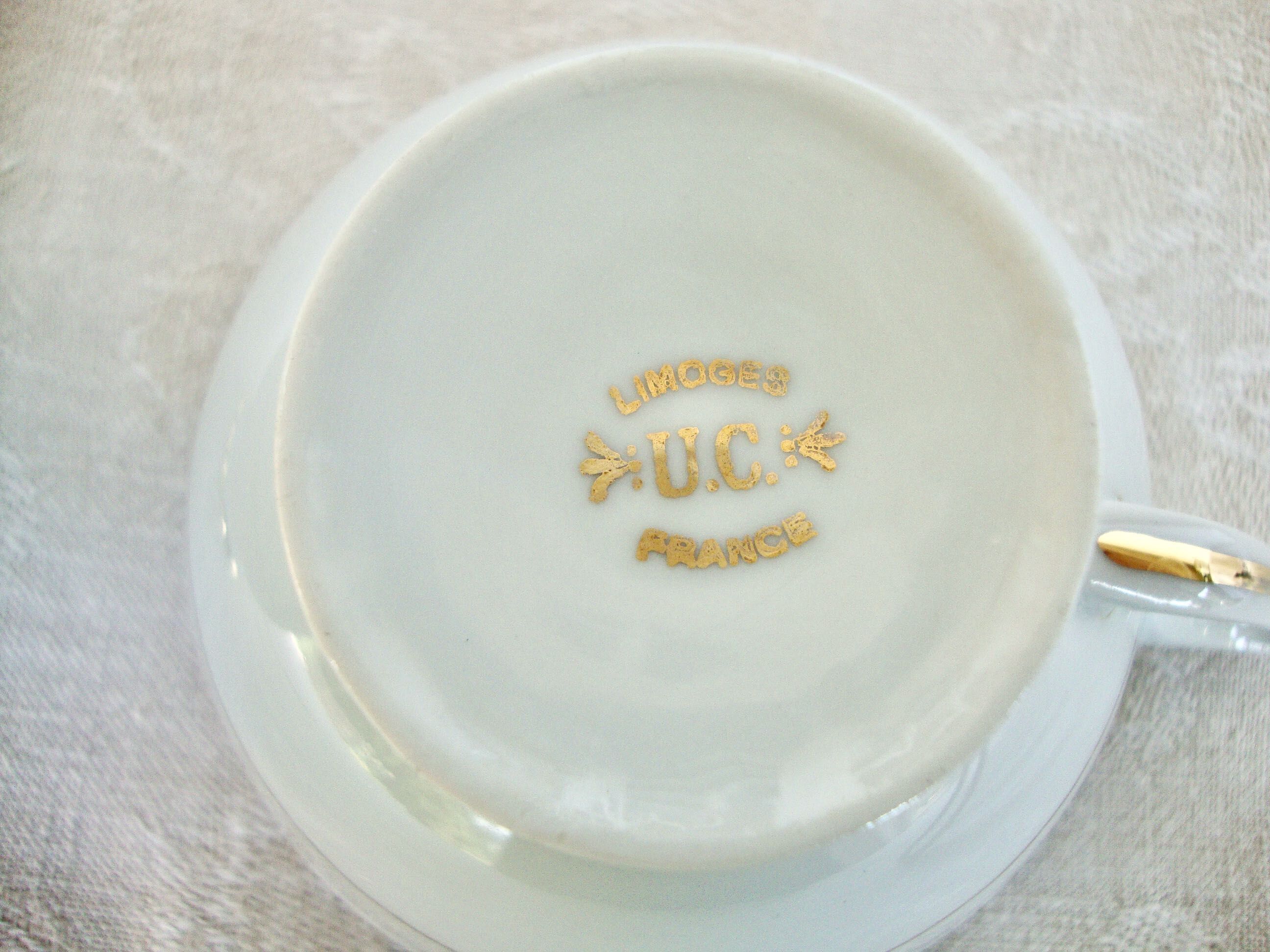 Coffee or porcelain tea service