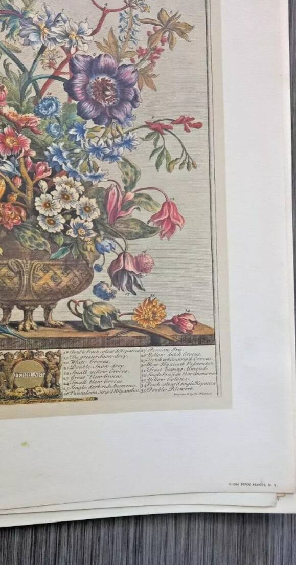 Lot of 19th century Floral Engravings - Vintage Art Print Flowers - 12 months - Robert Furber