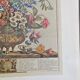 Lot of 19th century Floral Engravings - Vintage Art Print Flowers - 12 months - Robert Furber