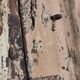 "Ethnic" double door, antique (19th/early 20th century)