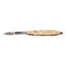 Stainless steel and mother-of-pearl pocket knife
