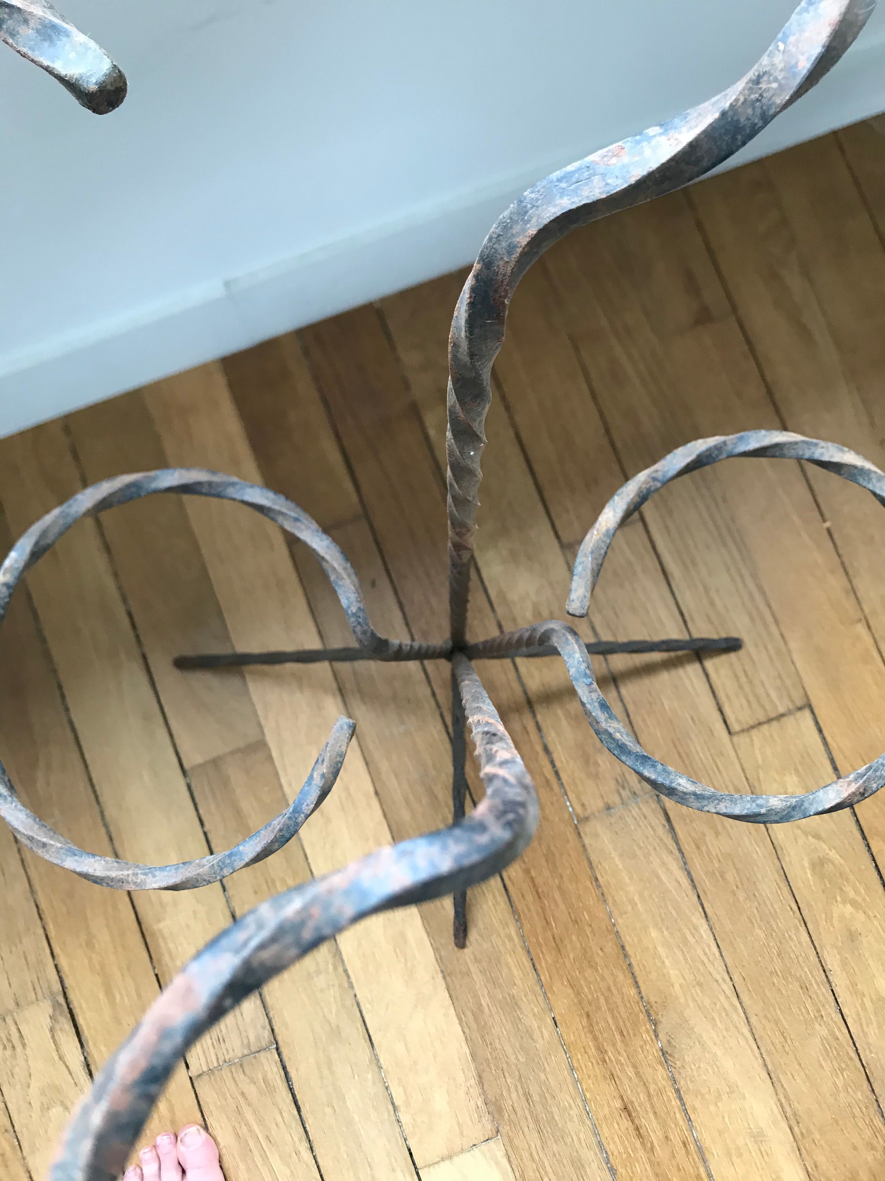 Wrought iron plant holders