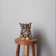 Owl tealight holder ceramic handmade owl candle holder brutalist