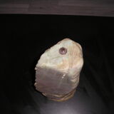 Lamp nephritis