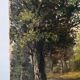 Afternoon on the lake, oil on canvas signed