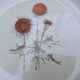 5 flat plates ADP Chardon decor from the 1970s