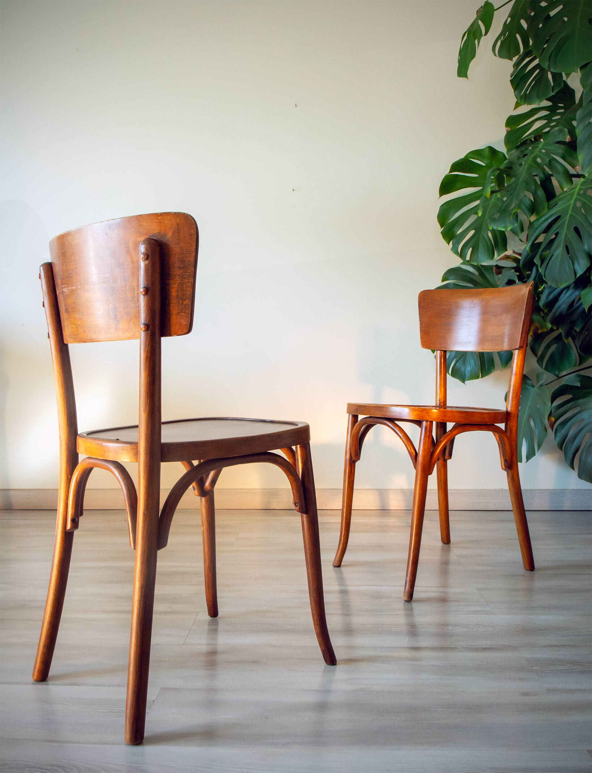 Mahieu chairs 1950 (Romerie, France)