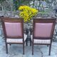 Paire de fauteuils français en Acajou d’époque restauration