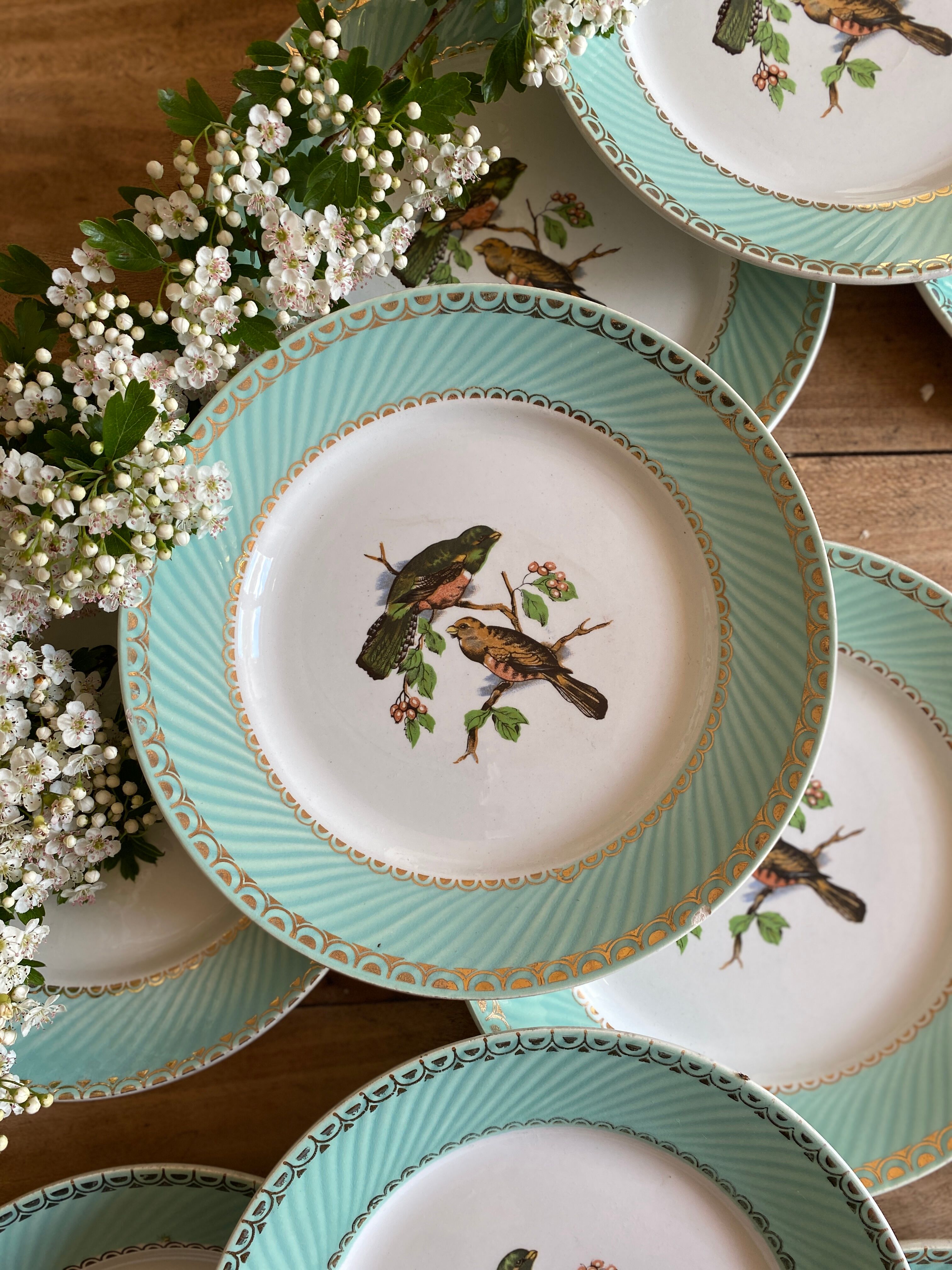 Set of 10 vintage flat plates with bird drawings