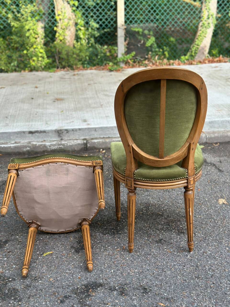 Set of 6 Louis XVI medallion chairs in green velvet, 1950.