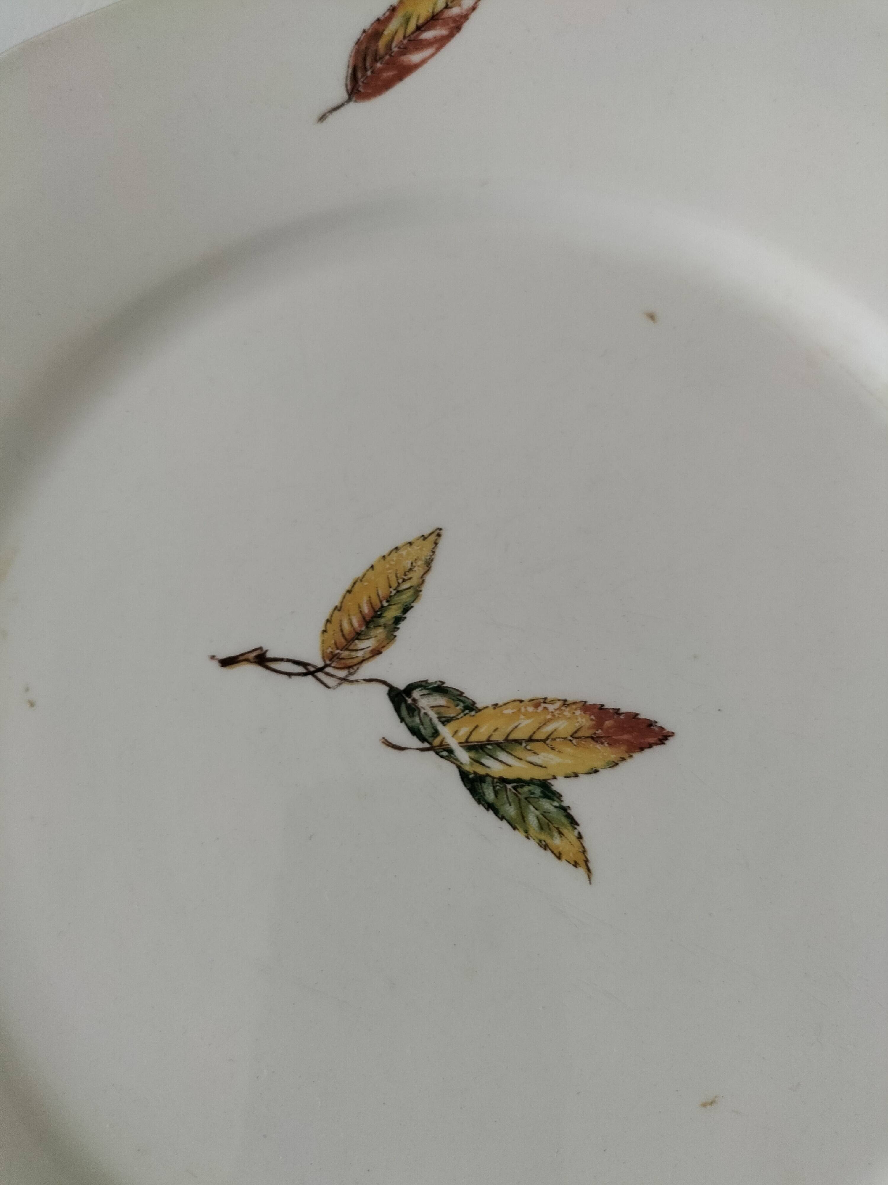 7 assiettes plates et creuses en faïence opaque Digoin Sarreguemines Nemours