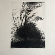 Nicole Bouharmont, tempête, 2013, pointe sèche originale signée